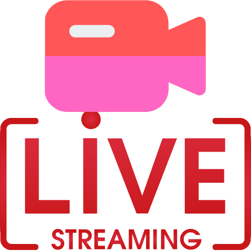 Missswitch Cam